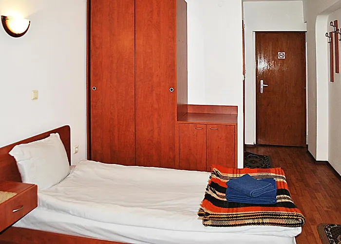 Family Zora * ソフィア