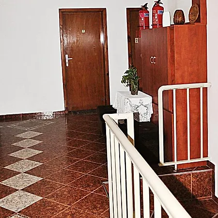 Family Zora София